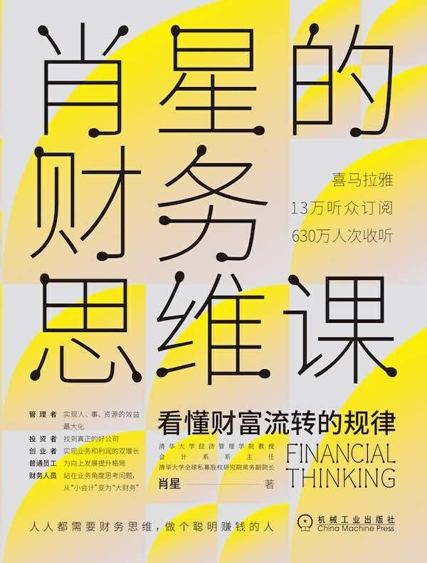 肖星的财务思维课:看懂财富流转的规律
