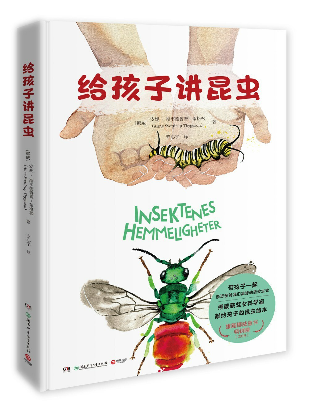 给孩子讲昆虫